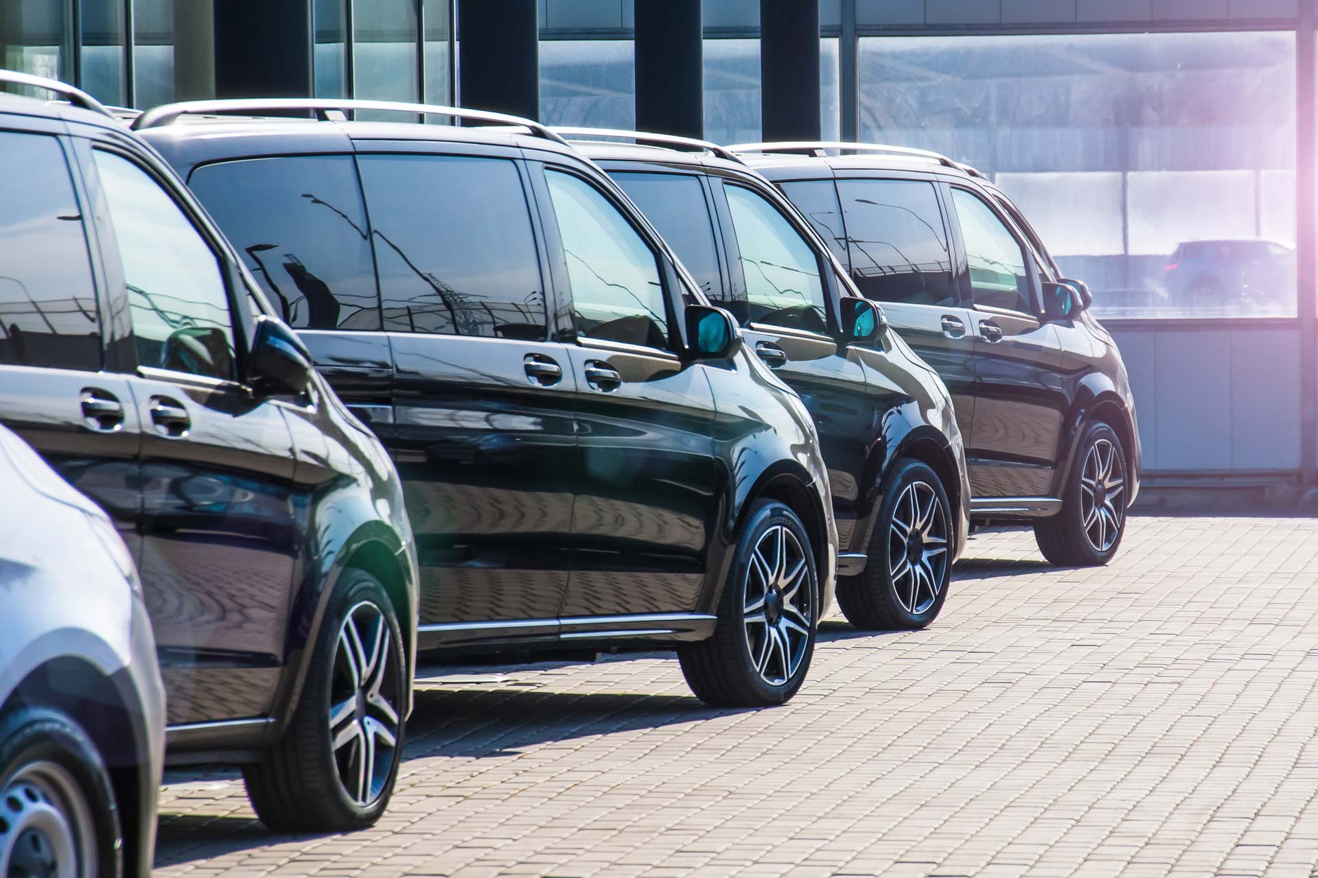 A line-up of black vans